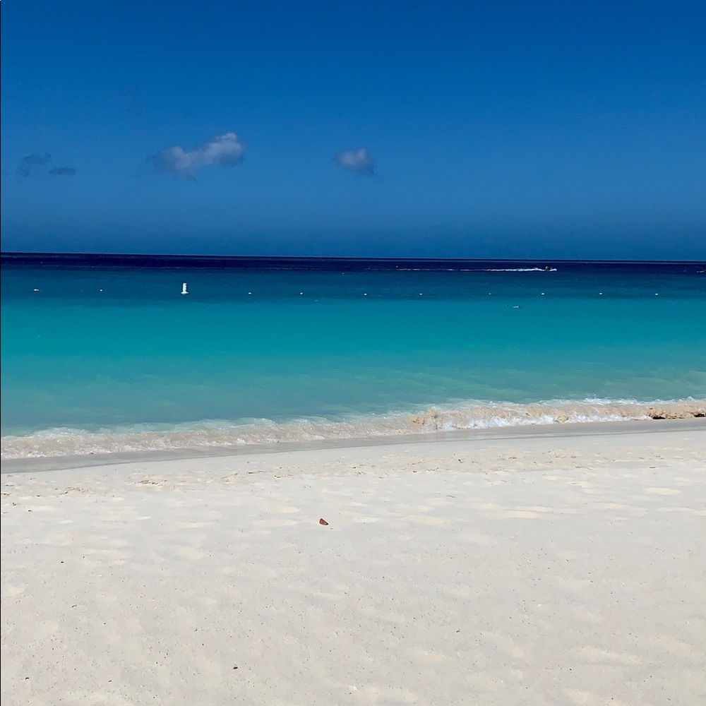 Meet your Posher, Deanna